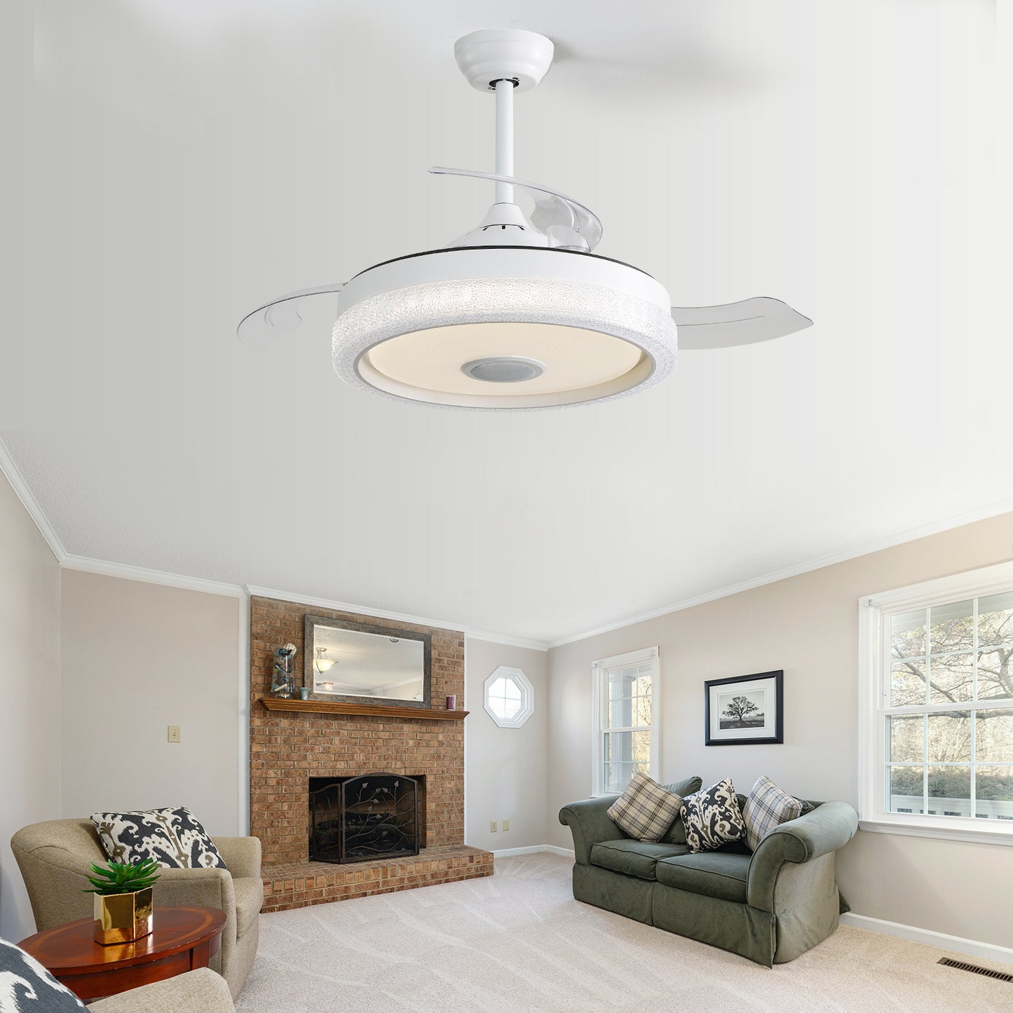 Plastic Remote Control Ceiling Fan