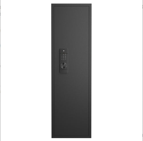 Viva Smart Living Collection: In‑Wall Touch‑Panel Safe