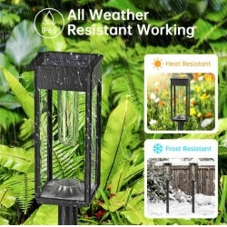 Viva Outdoor Collection: Solar Pathway Lights (6-Pack)