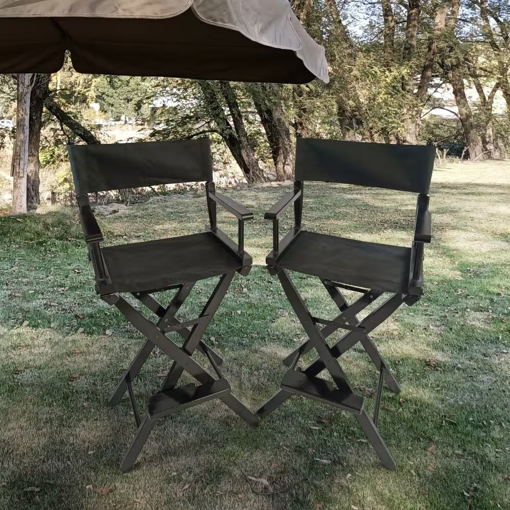 Viva Smart Living Collection: Populus Director’s Chair Set