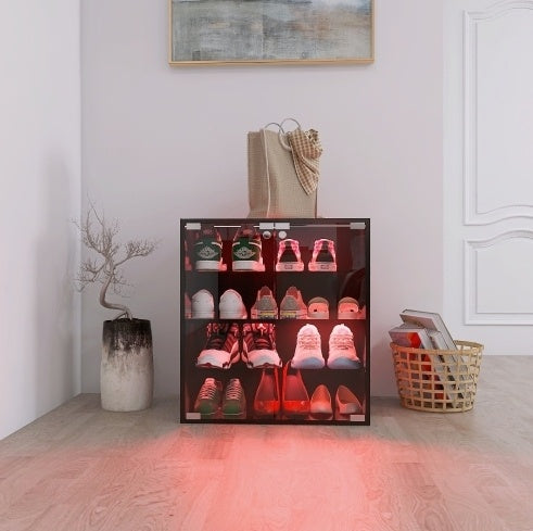 Modern 4-Layer Black Shoe Cabinet with LED Lights & Bluetooth Control | Smart Shoe Storage
