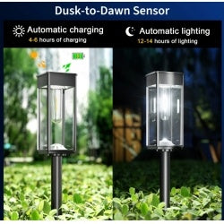 Viva Outdoor Collection: Solar Pathway Lights (6-Pack)