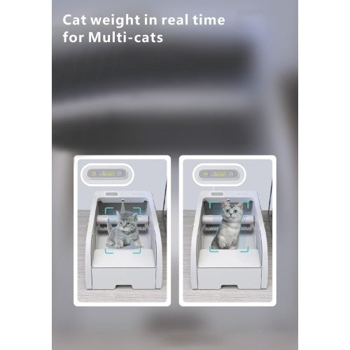 Smart Self-Cleaning Litter Box with Wide Opening | Viva Vanity
