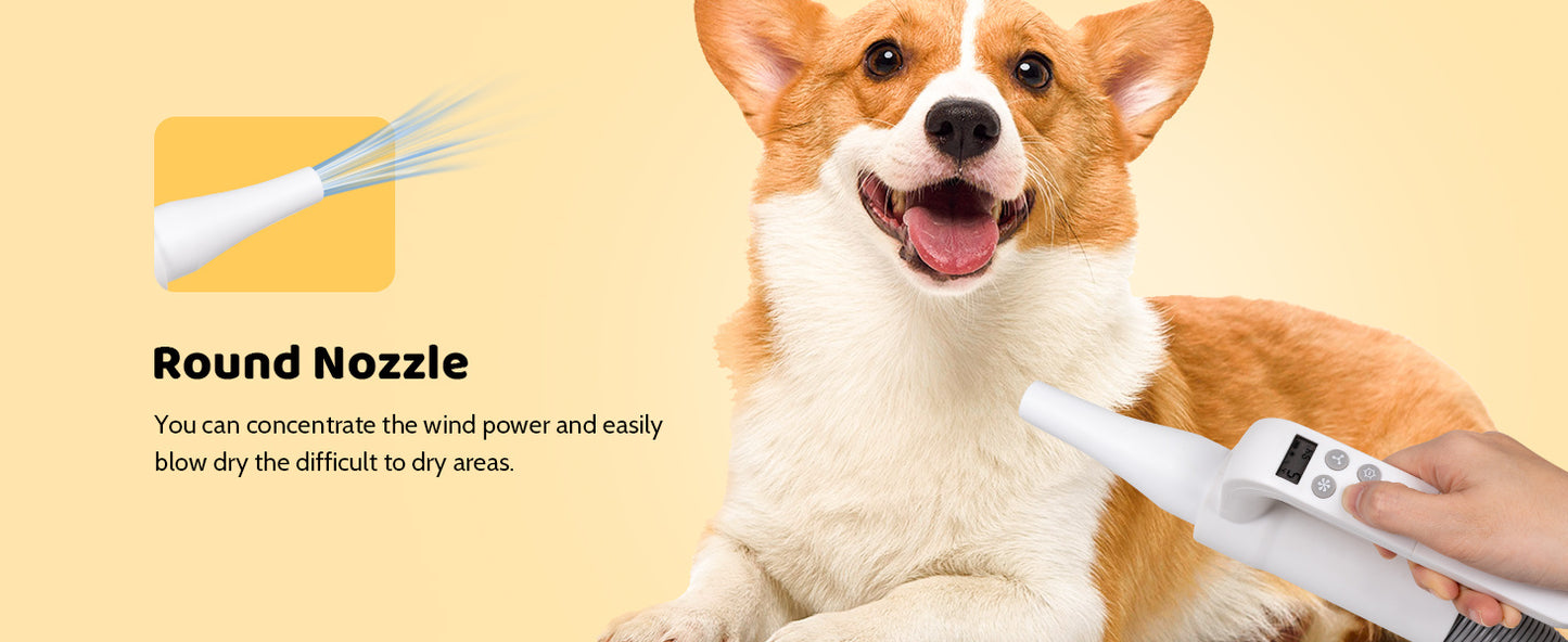 4-in-1 Smart Dog Hair Dryer with Adjustable Speed & Temperature for Cats and Dogs โ High-Speed Negative Ion Technology