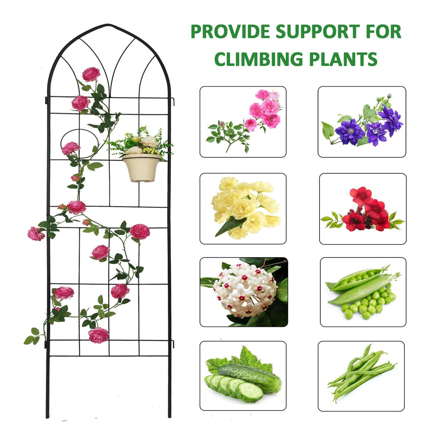4 Pack Metal Garden Trellis Rustproof Trellis For Climbing Plants Outdoor Flower