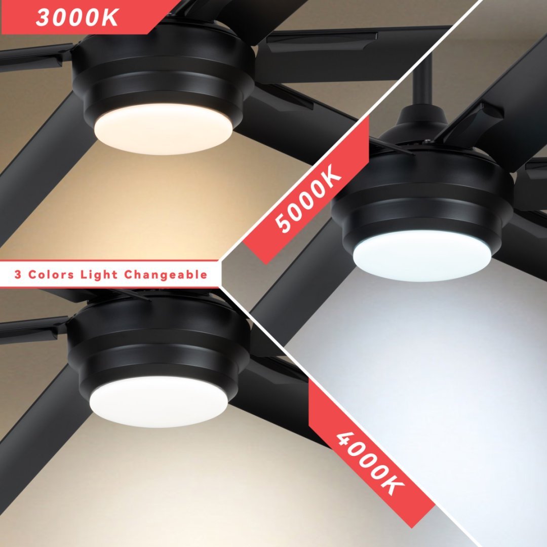Viva Airflow Collection: Noir Six Ceiling Fan