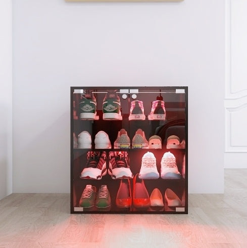 Modern 4-Layer Black Shoe Cabinet with LED Lights & Bluetooth Control | Smart Shoe Storage