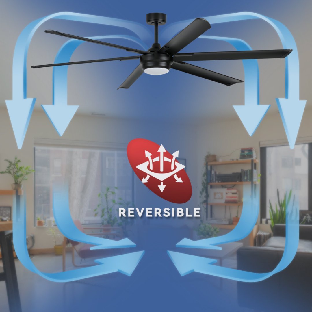 Viva Airflow Collection: Noir Six Ceiling Fan
