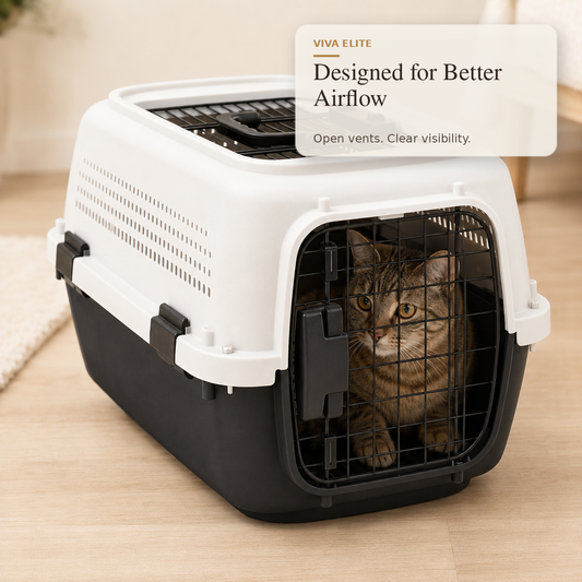 Ventilated hard-sided pet carrier shown for a pet carrier buying guide