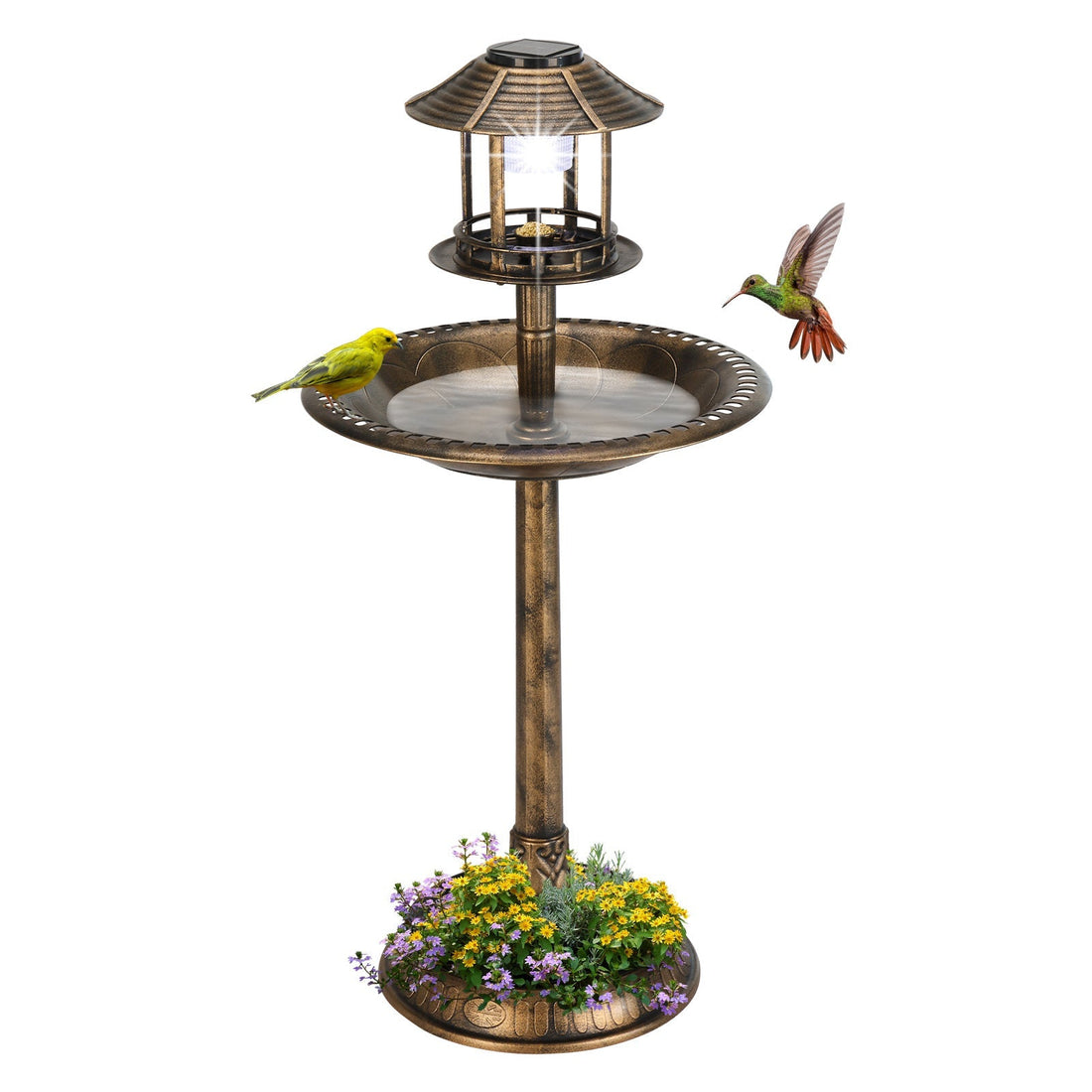 Solar-lighted bird bath for placement and water care guidance