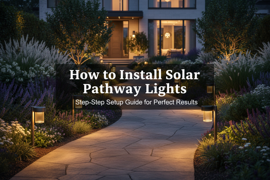 Solar pathway lights being positioned along a garden path before final staking