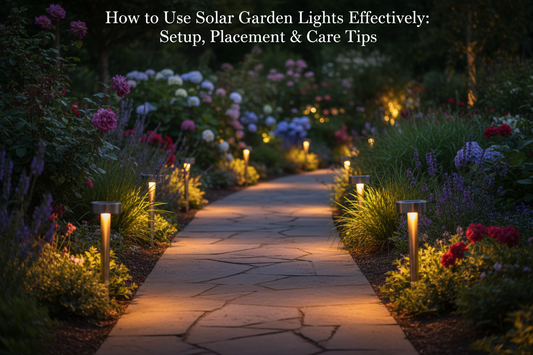 Solar parrot garden light for a practical setup, placement and care guide