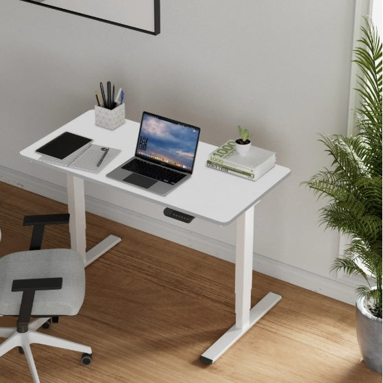 Viva Elevate Collection: Viva Elevate Dual-Motor Electric Standing Desk