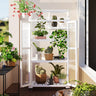TOPMAX 62-inch Wooden Greenhouse with Wheels & Adjustable Shelf – Smart Gardening, Stylish Living