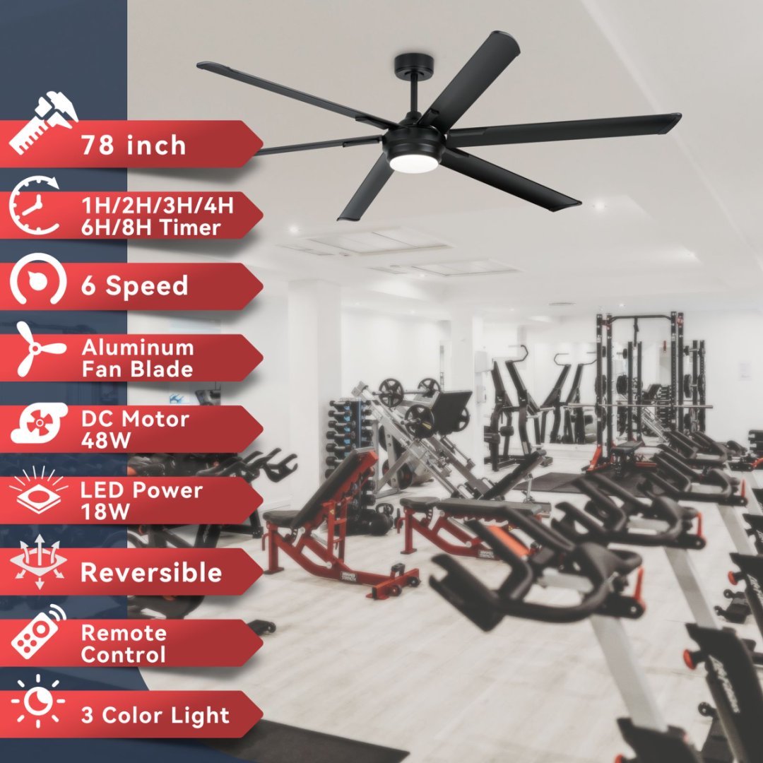 Viva Airflow Collection: Noir Six Ceiling Fan