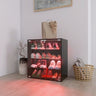 Modern 4-Layer Black Shoe Cabinet with LED Lights & Bluetooth Control | Smart Shoe Storage