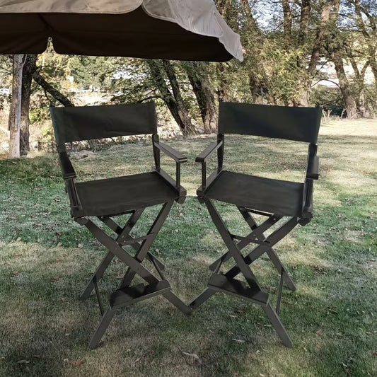 Viva Smart Living Collection: Populus Director’s Chair Set