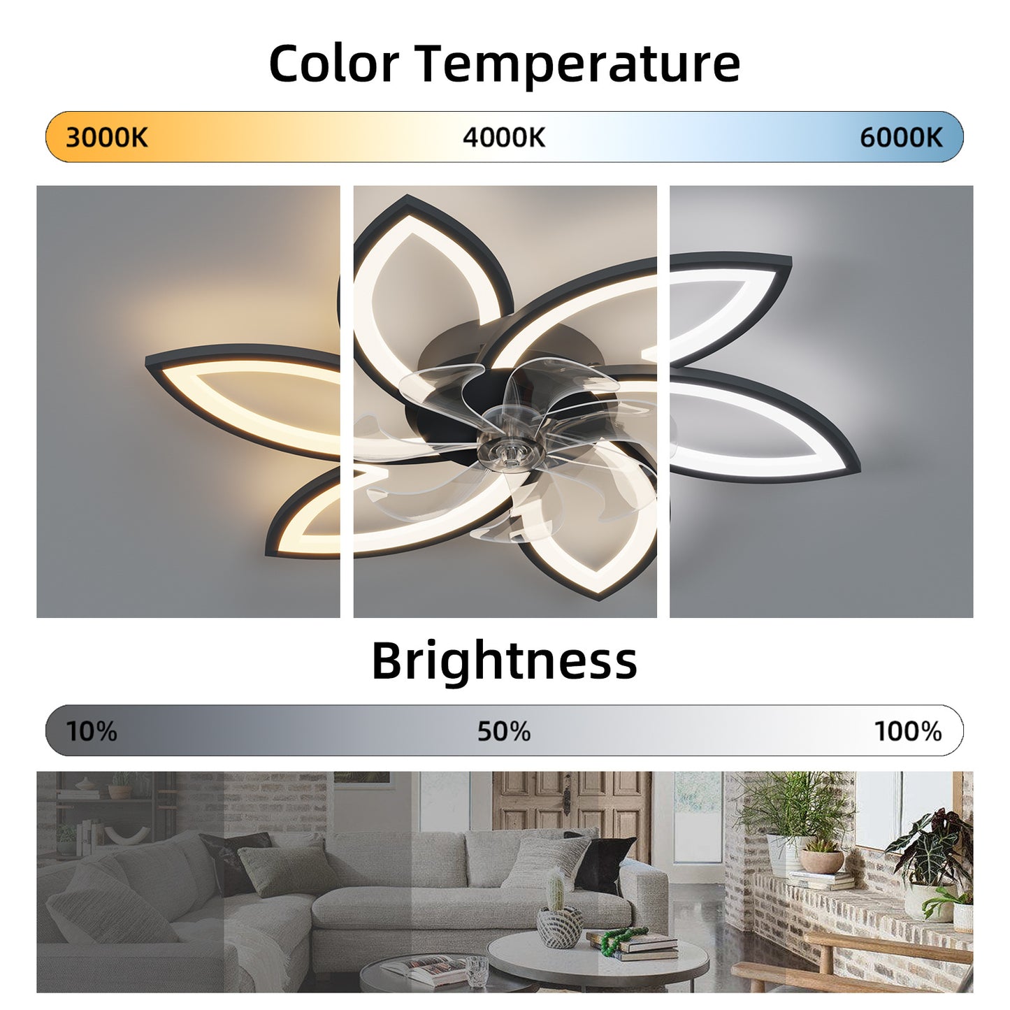 Viva Smart Acrylic Ceiling Fan