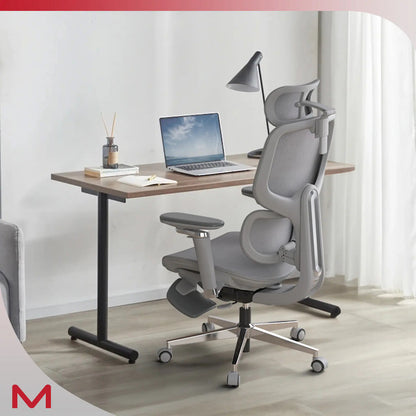 Gray High-Back Home Office Chair | Viva D2 Pro