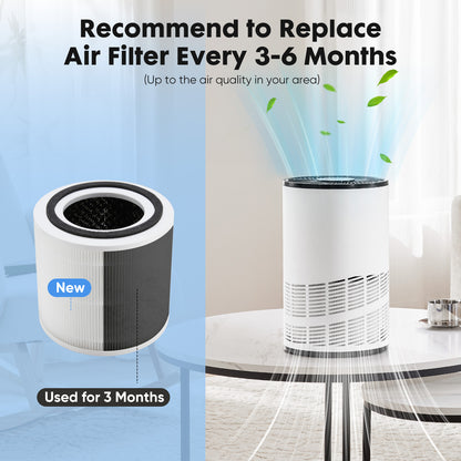 Air filter replacement recommendation with a new and used air filter on a blurred indoor background.