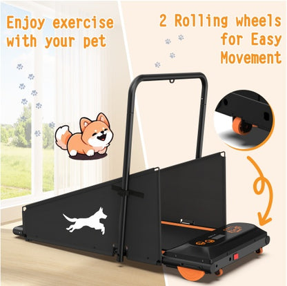 Black & Orange Motorized Dog Treadmill | Viva CanineFit