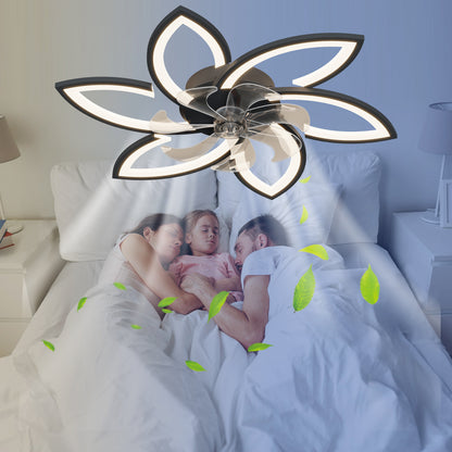 Viva Smart Acrylic Ceiling Fan