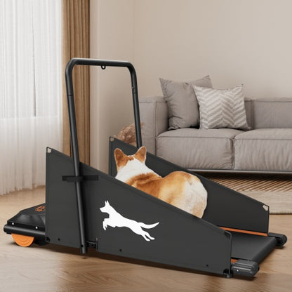 Black & Orange Motorized Dog Treadmill | Viva CanineFit