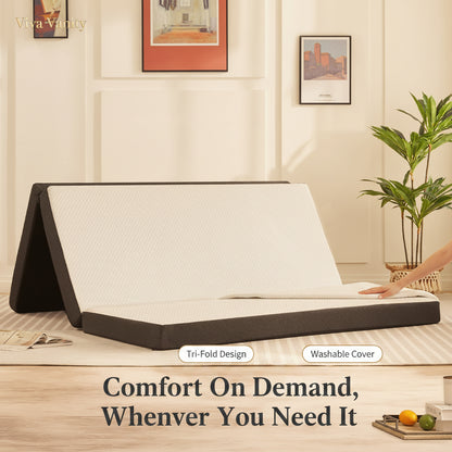 Foldable bed in a room with a plant and framed pictures on the wall.