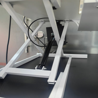 Viva Elevate Sit-Stand Workstation – Productivity Meets Poise
