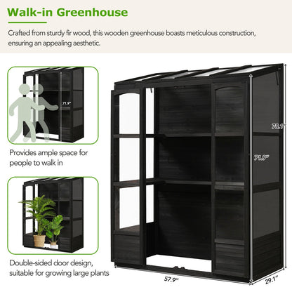 78-in Wooden Greenhouse with 4 Skylights & Folding Shelves | Viva