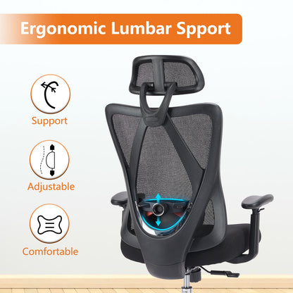 Viva AeroForm Collection: Viva AeroForm Ergonomic Office Chair