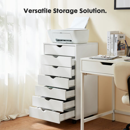 Viva Vanity Wheeled Mobile Organizational Drawers