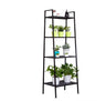 Viva Aria Widened Four-Layer Bookshelf