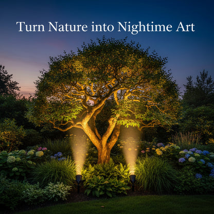 Two solar-powered LED light fixtures with solar panels on a white background.