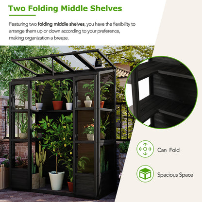 78-in Wooden Greenhouse with 4 Skylights & Folding Shelves | Viva