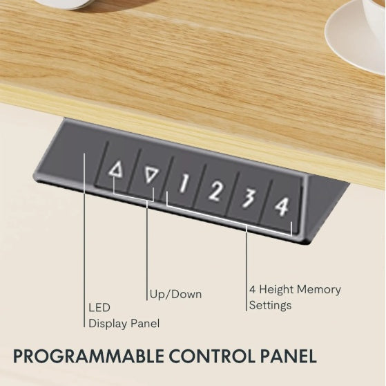 Viva Ascend Collection: Viva Ascend One-Piece Electric Standing Desk