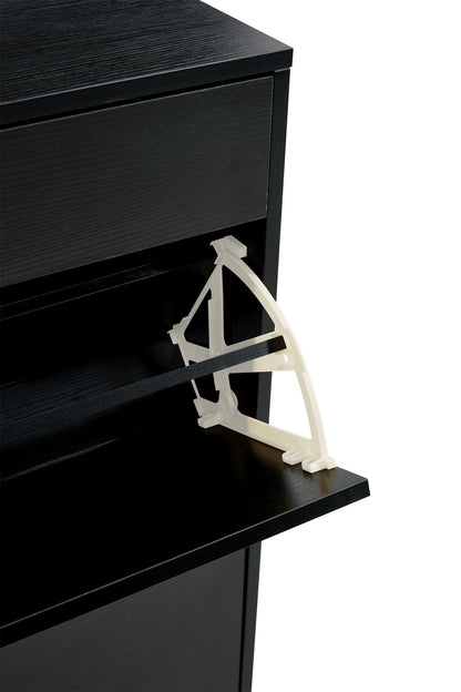 Black Shoe Storage Cabinet | Viva