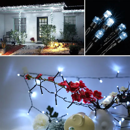 String lights on a house exterior, close-up of lights, and string lights on flowers.