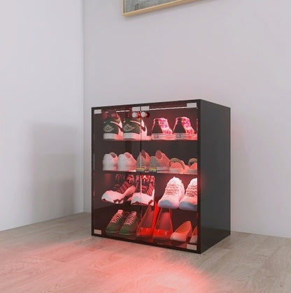 Modern 4-Layer Black Shoe Cabinet with LED Lights & Bluetooth Control | Smart Shoe Storage