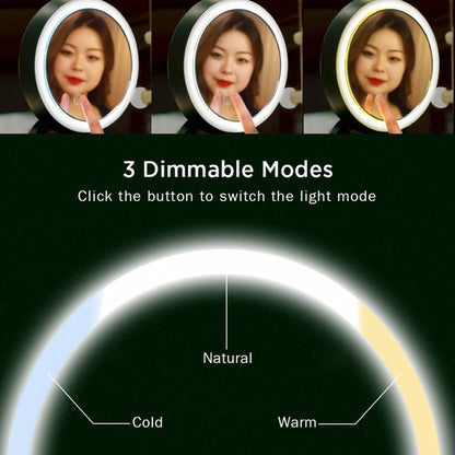 Viva Elite Professional Makeup Case - LED Mirror with Adjustable Dividers