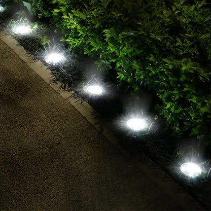 String of outdoor lights on a pathway next to greenery