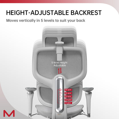 Gray High-Back Home Office Chair | Viva D2 Pro