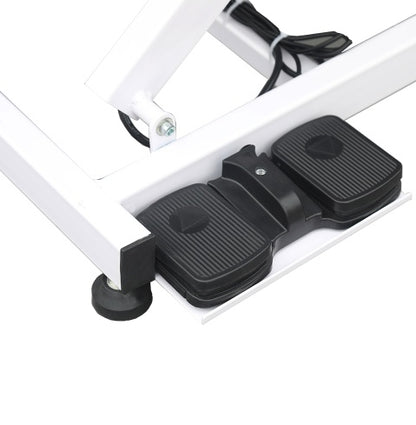 Super Deluxe Electric Pet Grooming Table, 110V  220V Professional Groomer Recommend Adjustable Height From 9.4 To 39.37 WHITE COLOR