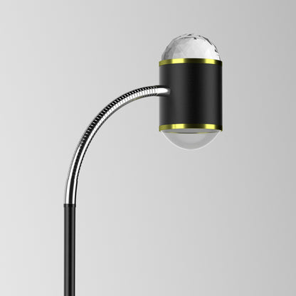 Floor lamp with black and gold design on a gray background